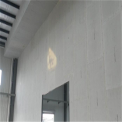 碑林宁波ALC板|EPS加气板隔墙与混凝土整浇联接的实验研讨